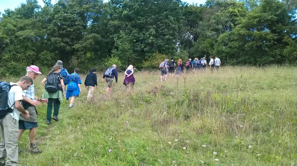 Large group of people taking in a fun healthy activity of nature hike.