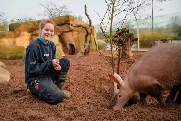 Young lady enjoying her time feeding the pigs.