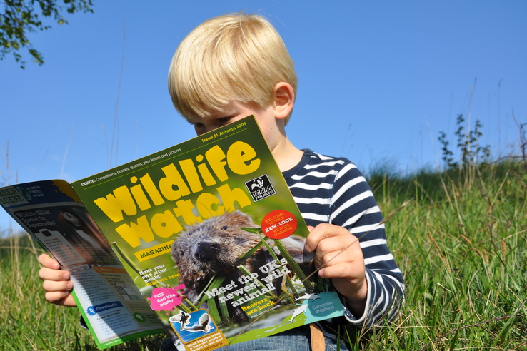 Small child reading an educational book titled "Wildlife Watch"