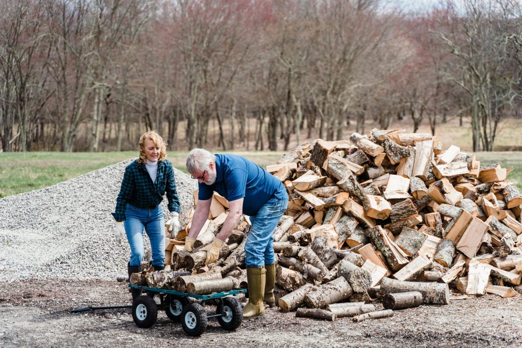 the benefits of rewilding