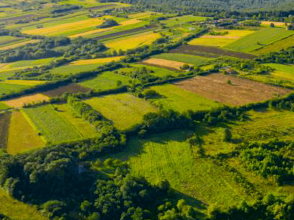 rewilding project